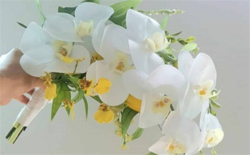 2026年03月23日领证合良辰吗？ 今日领证好吗