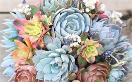 2026年02月06日是否属于领证吉日? 登记领证吉日宜忌 2026年02月06日是否属于领证吉日? 登记领证吉日宜忌