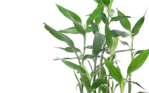 2026年农历四月十六是否适宜乔迁？ 今日乔迁入宅是好日子吗？