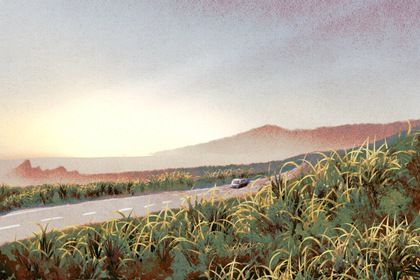 2026年05月14日提车合适吗 提车合不合适？