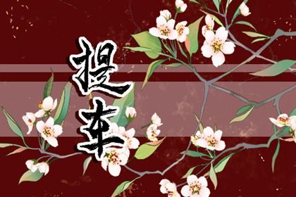 2025年06月03日这日子提车旺不旺? 今日提车买车行吗?