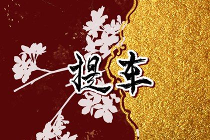 2025年农历闰六月十一提车趋吉避凶了吗？ 提车有问题吗？