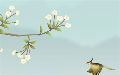 2026年02月28日装修行吗？ 装修动工合适吗？