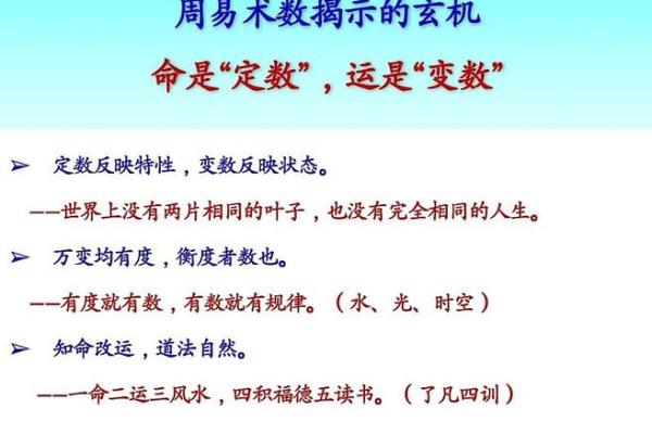 袁咏仪命运之谜：如何通过八字揭示改变命运的秘密？