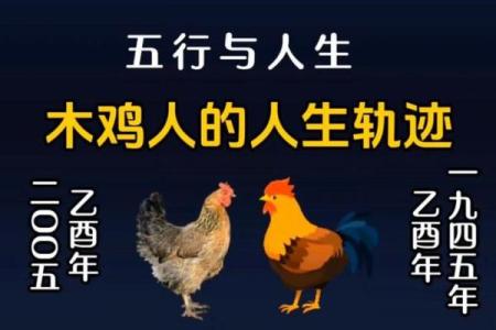 滕字五行格局揭秘:性格解析如何影响人生轨迹?