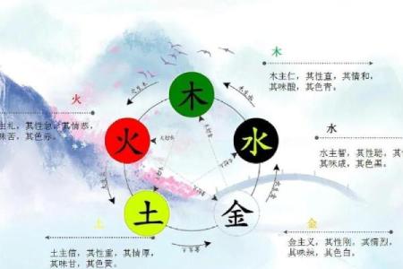 沁五行误区大揭秘：反而让你更了解自己