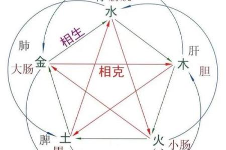 子属五行格局破解:揭秘性格密码,告别误解,活出真我