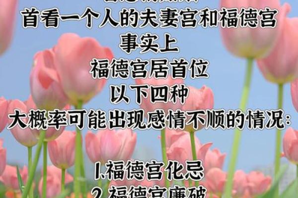 暗藏玄机！紫微命理如何颠覆你对命运的认知，改变人生轨迹