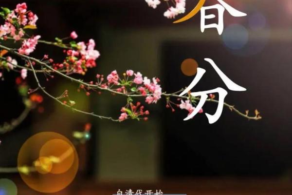 探秘三月二十一日：春分的文化与习俗