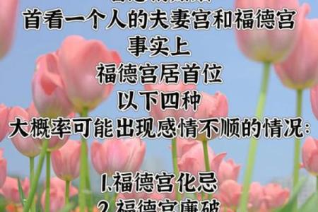暗藏玄机!紫微命理如何颠覆你对命运的认知,改变人生轨迹