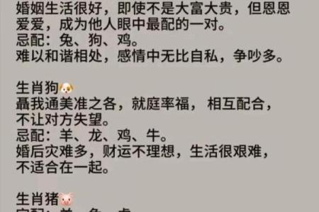 性格解析新视角：五行属相婚配，揭秘你的命中良缘？