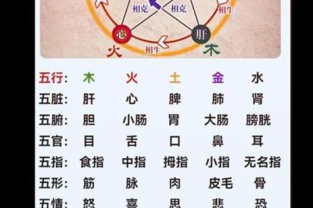 儿五行性格解析：颠覆传统，看你的内在特质