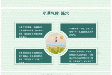 养生指南：小满节气如何调养身体
