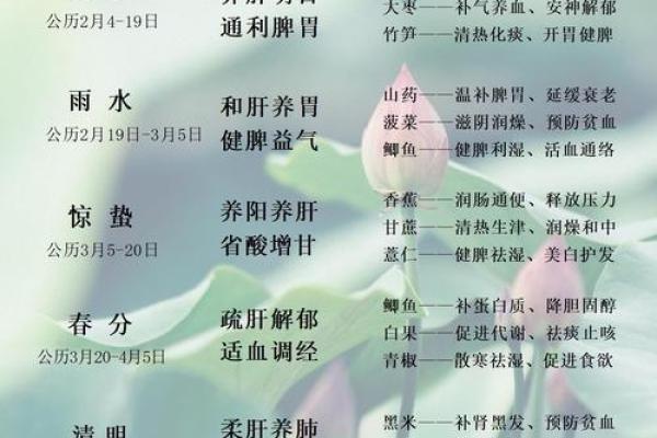 养生之道：猪节日如何带来健康启示