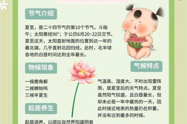 夏至节气：探秘太阳与农业的神奇联系