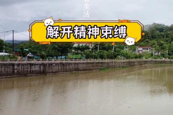 焱真命理反而能打破命运枷锁，你还在等什么？