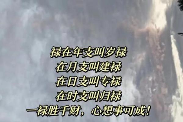 刘文元八字命理的深层秘密：改变命运的关键误区