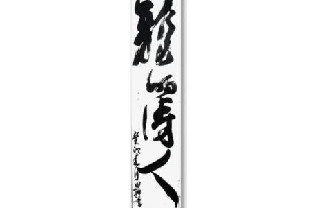 龙的传人：龙文化与养生的完美结合