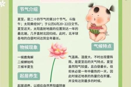 夏至节气：探秘太阳与农业的神奇联系