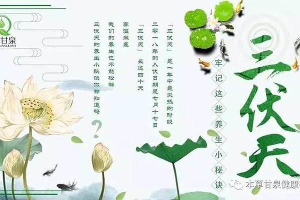 彝族的养生节：古老智慧与健康习俗