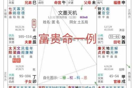 小富贵命理揭秘：命运密码背后的暗藏玄机，你是否也在误区中？