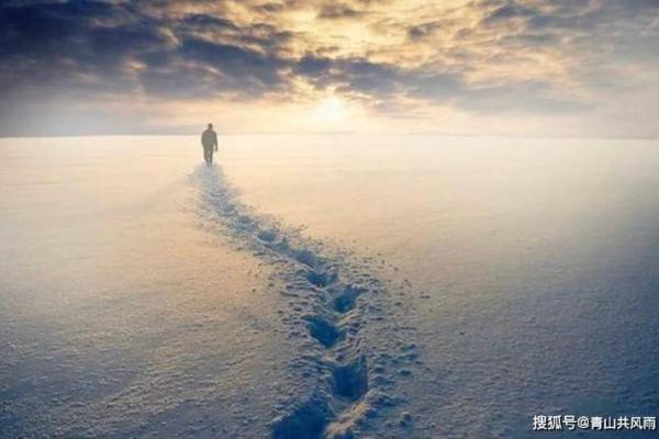 贾跃亭的命运密码揭示：命理的颠覆性真相