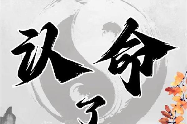 如何改变命运？八字命理修证中的误区与真相