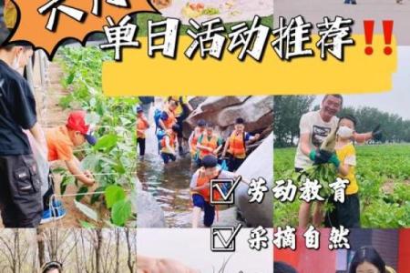 走进六月，农耕文化与节令食俗的完美结合