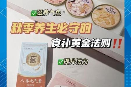 秋季养生的最佳时机与食疗秘诀