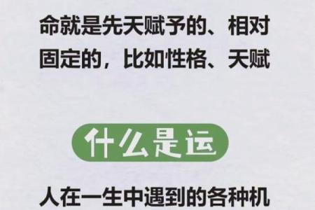 命运密码大揭秘：易灵命理中的暗藏玄机，你错过了什么？