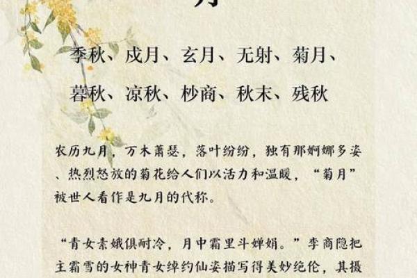 九月三号的历史文化探秘：古人如何庆祝这一日