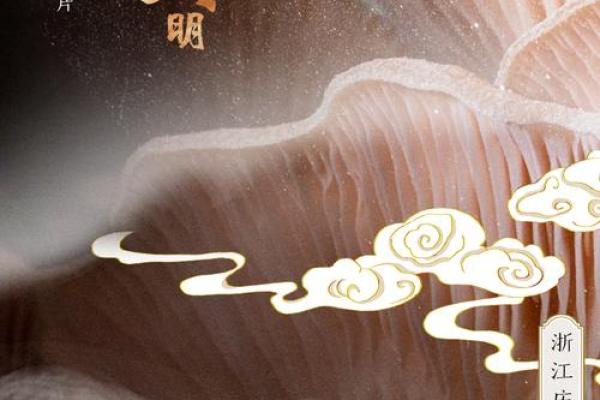 西方节日中的农耕智慧与自然节律