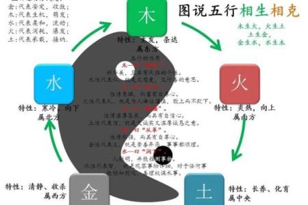 五行格局实用指南：木土相生，如何改变性格中的弱点？