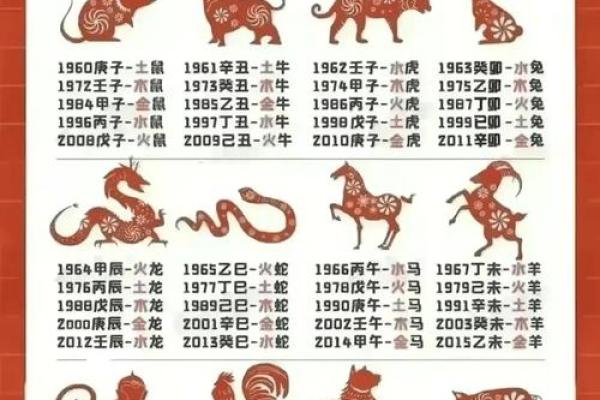 属鼠人的五行之谜：揭秘格局与性格，颠覆传统认知