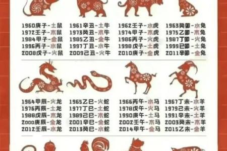 属鼠人的五行之谜：揭秘格局与性格，颠覆传统认知