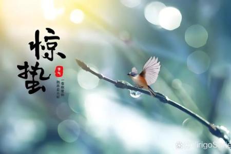 节日与自然节律的共鸣，探索古人智慧