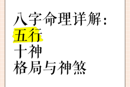如何改变命运?揭秘乙木五行格局,突破性格局限