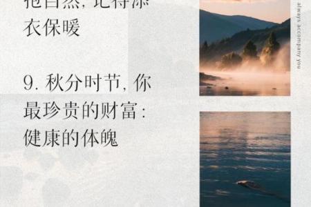 秋分时节的养生之道：如何在保持身体平衡
