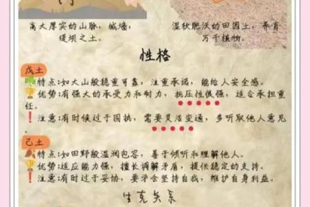 五行格局揭秘:火象行业人士的性格解析与职业规划
