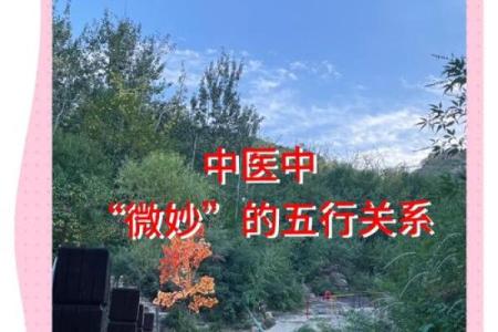 如何改变米五行格局？揭秘提升个人魅力的五行之道
