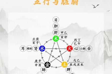 甲子日五行运势揭秘:性格密码大公开,你了解自己的五行格局吗?