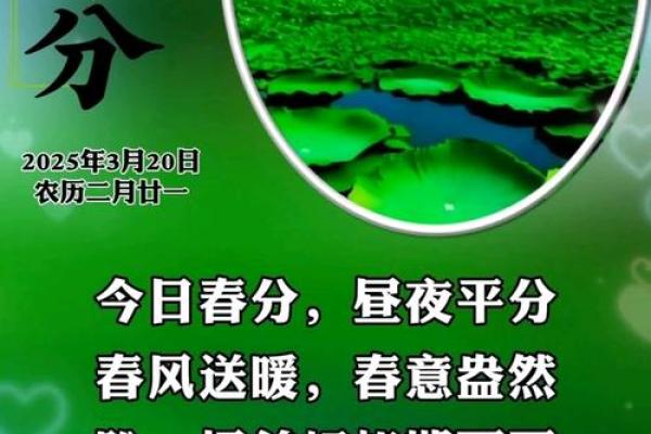 三月二十一日，春天的分水岭，传统节日与现代养生相遇