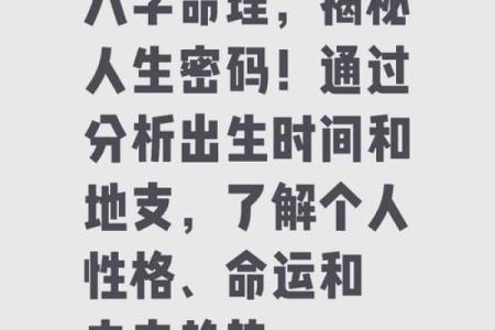 八字中的命运密码,星辉命理带你走出人生迷局