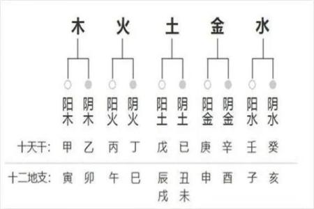 如何改变命运?易经八字分析带你走出颠覆传统的命运束缚