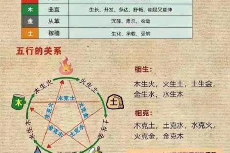 性格解析新视角:左的五行格局如何影响人生走向