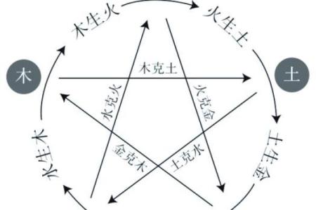 性格解析:五行相生相克,揭秘你的命运轨迹