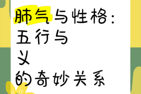 登字五行格局,性格解析的神秘面纱如何揭开?