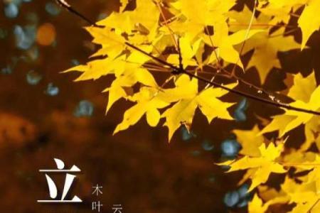 立秋与初秋养生之道:如何顺应天时调整生活方式