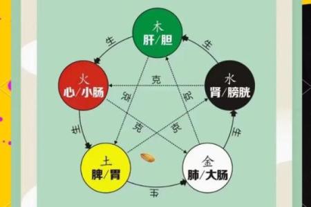 1 五行格局与性格解析：80后如何突破性格局限，实现梦想？