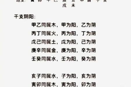 如何改变命运？天干地支暗藏玄机，揭开八字中的致命误区